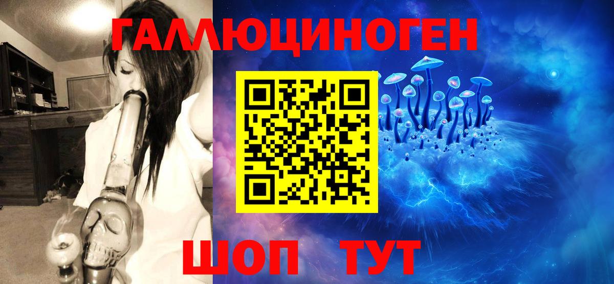 Галлюциногенные грибы мухоморы Жигулёвск