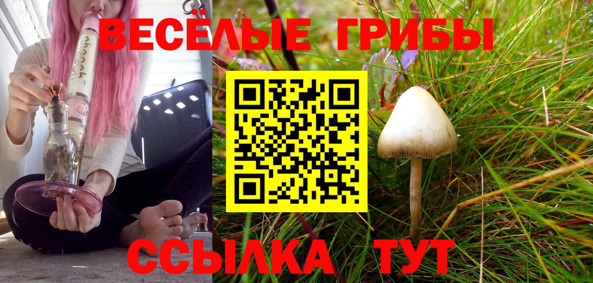 Галлюциногенные грибы Psilocybe  Галлюциногенные грибы Cubensis  где можно купить   Жигулёвск  Вход с VPN 
